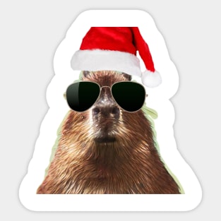 cool capybara christmas Sticker